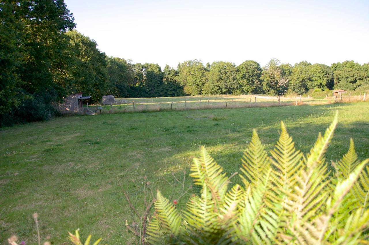 Gite Le Champ Libre Dompierre-Sur-Yon 外观 照片